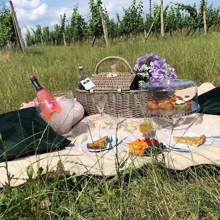 招待所 Hardy - 科尼亚克旅馆 4*