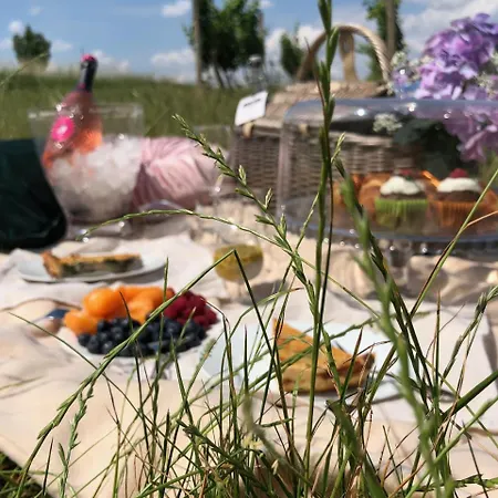 Hardy - 科尼亚克旅馆 招待所 瓦尔季采