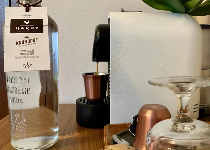 Hardy - Cognac & Konukevi Valtice