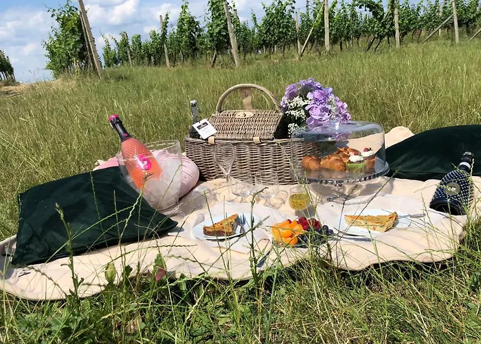 Konukevi Hardy - Cognac & 4*